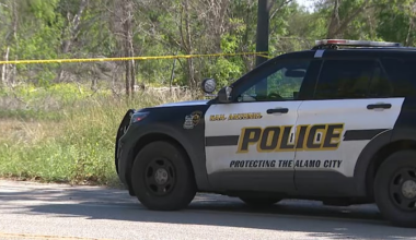 ‘Unusual number of vultures’ circled body found on South Side, SAPD says