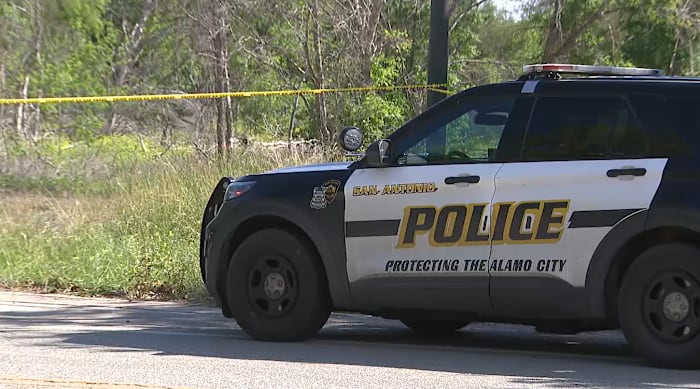 ‘Unusual number of vultures’ circled body found on South Side, SAPD says