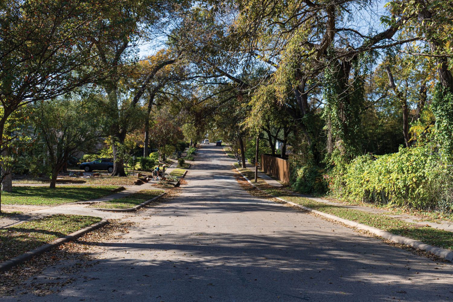 Treelined street in North Oak Cliff Dallas
