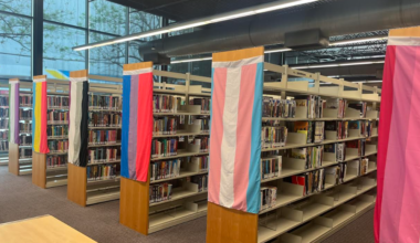 Bookshelves housing special collections at the Oak Lawn Library decorated with pride flags.