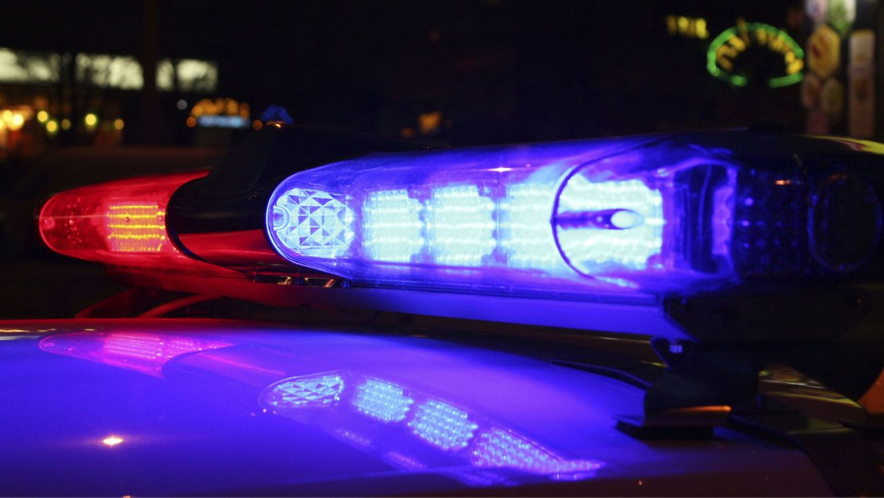 Police lights. (File)