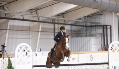 Gamecock Equestrian Upsets No. 2 Texas A&M to Win 2026 National Championship