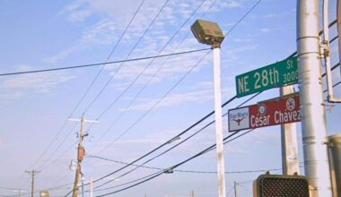 Council debates process after Cesar Chavez topper removal