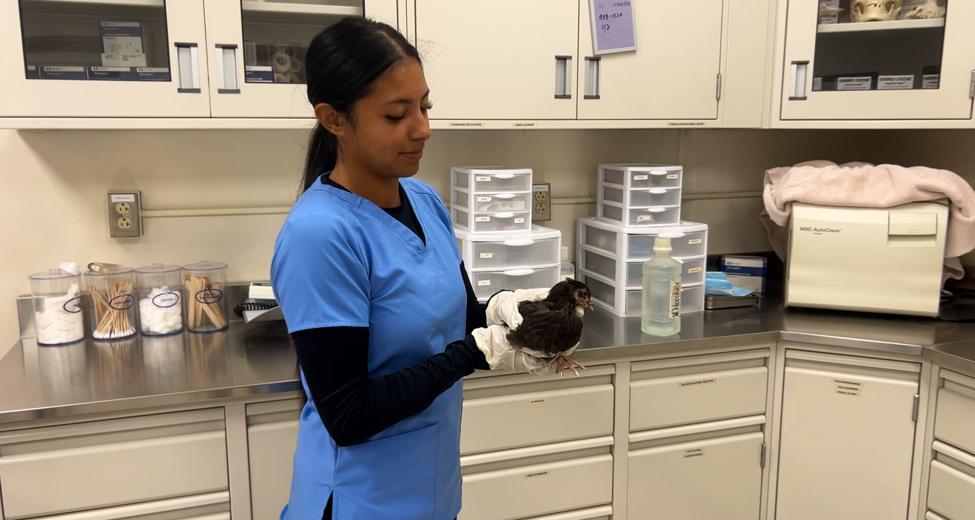 EPISD students gain real-world veterinary experience in a unique classroom setting