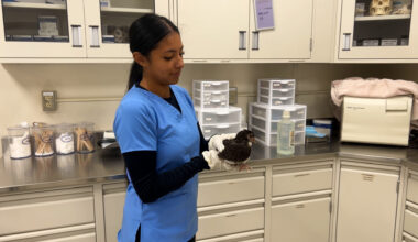 EPISD students gain real-world veterinary experience in a unique classroom setting