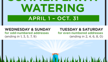Summer Lawn Watering graphic