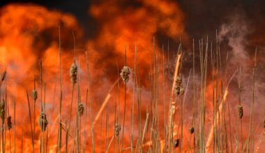 Evacuations ordered for small wildfire between Colorado Springs, Pueblo