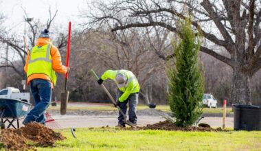 Arlington celebrates birthday by planting trees