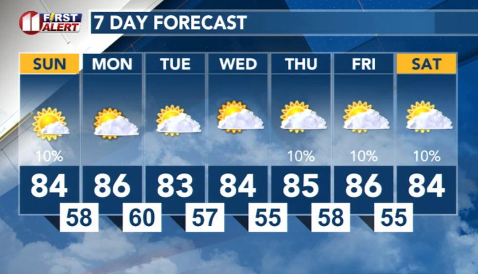 7 day forecast
