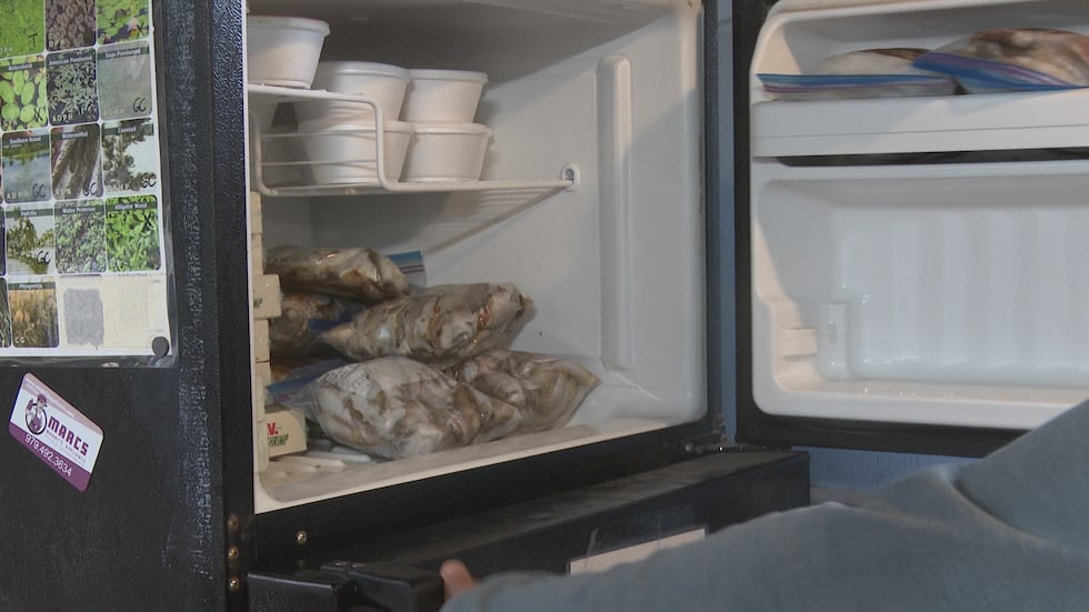 Bait Barn Fisheries in Bryan plans to expand its operations after gaining attention from a...