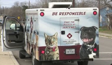 24-year-old hospitalized after dog bite on Northeast Side, ACS says