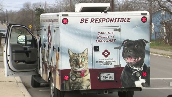 24-year-old hospitalized after dog bite on Northeast Side, ACS says