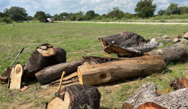 Wood Reclamation | AustinTexas.gov