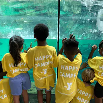 Summer camp children watching fish at an aquarium exhibit.