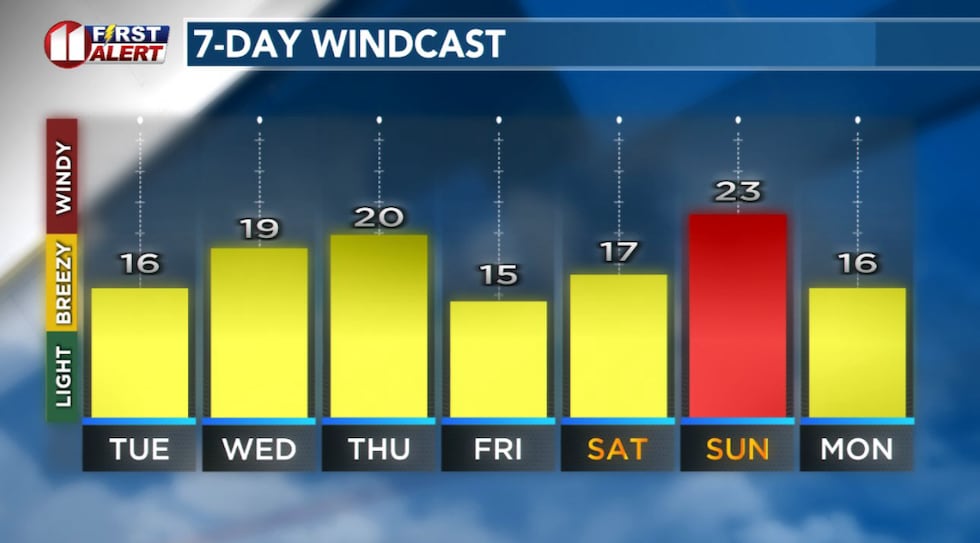 Forecast peak sustained winds are shown in this graph. Peak gusts will exceed the values shown...