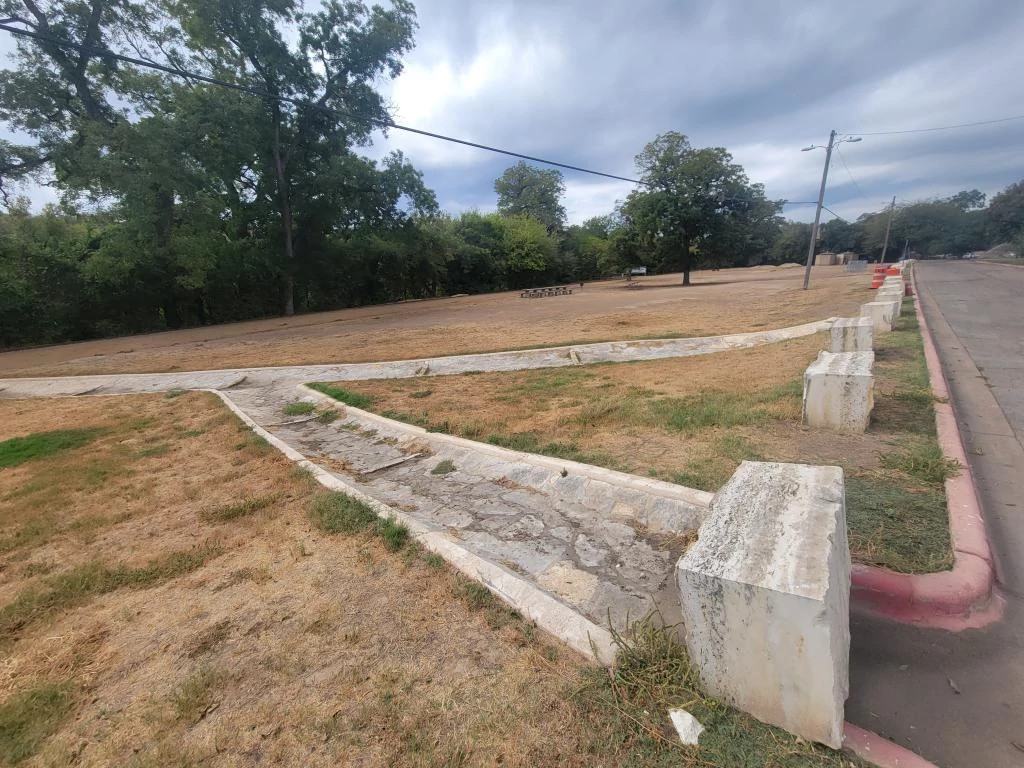 Zilker-Tree-Planting-existing-area-of-work