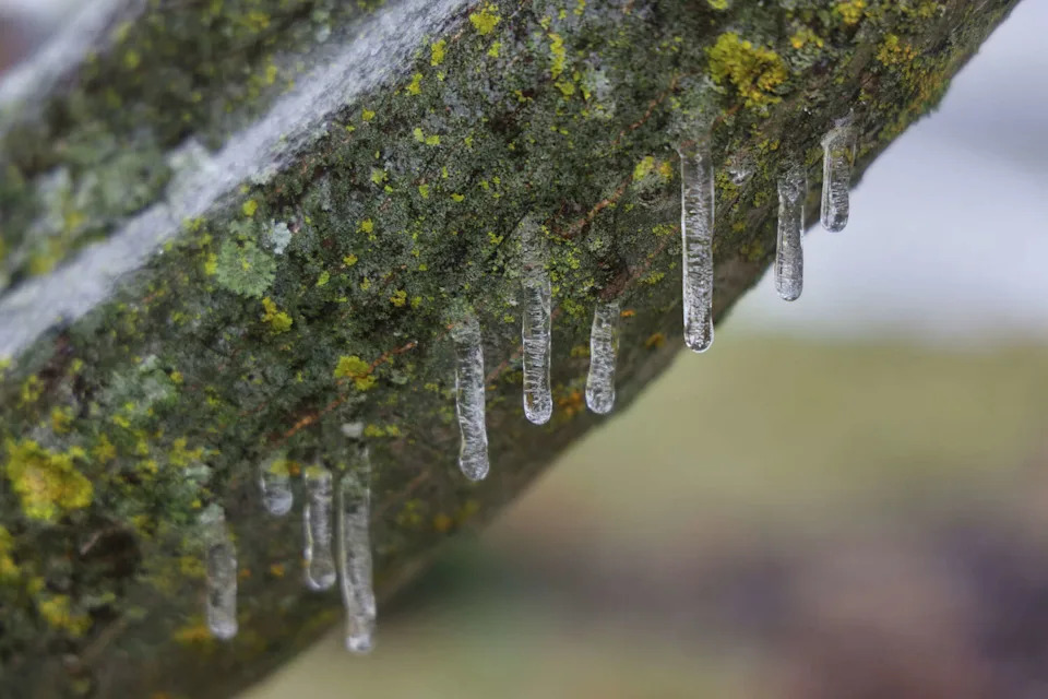A Freeze Watch has been issued for Amarillo, Texas, Friday night through Saturday morning. Temperatures could dip below freezing as a cold front sweeps in. (NurPhoto/NurPhoto via Getty Images)