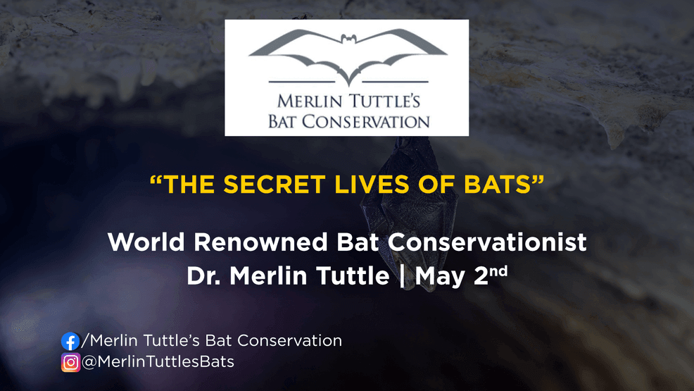 The man behind the bats! Dr. Merlin Tuttle on conservation and our Congress Ave attraction