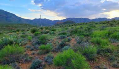 The History And Beauty Of McKelligon Canyon In El Paso