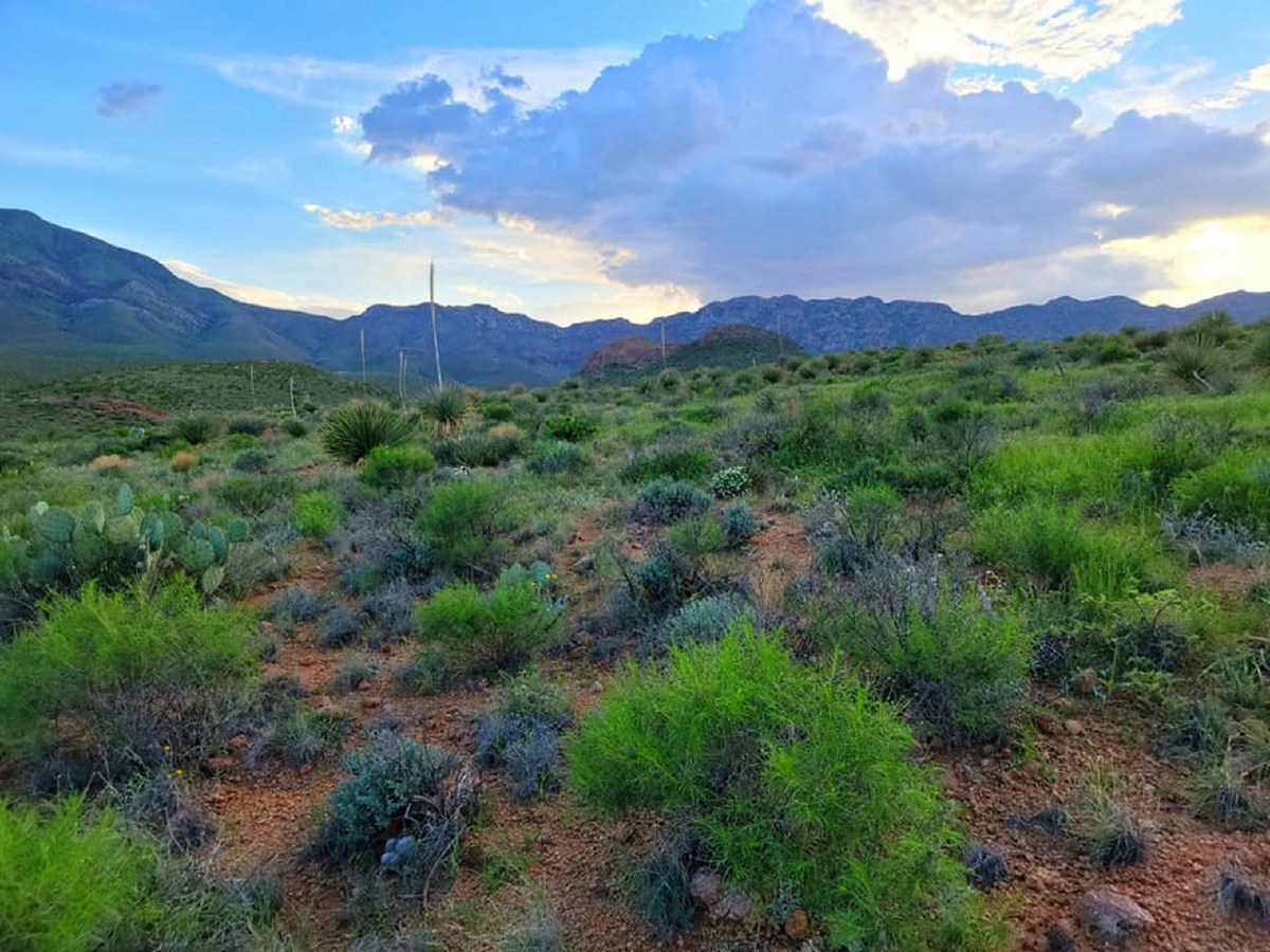 The History And Beauty Of McKelligon Canyon In El Paso