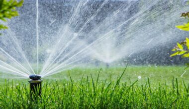 When Can I Water My Lawn In Lubbock? City Irrigation Rules