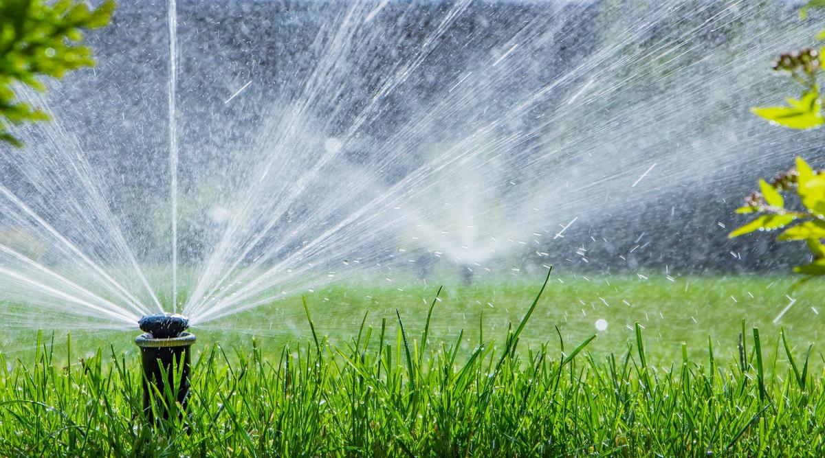 When Can I Water My Lawn In Lubbock? City Irrigation Rules