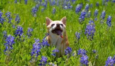 This Is the Best Time to Explore Texas Right Now