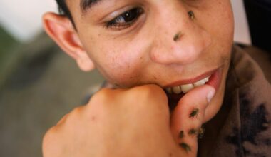 Tips For Keeping Flies Away This Summer In El Paso