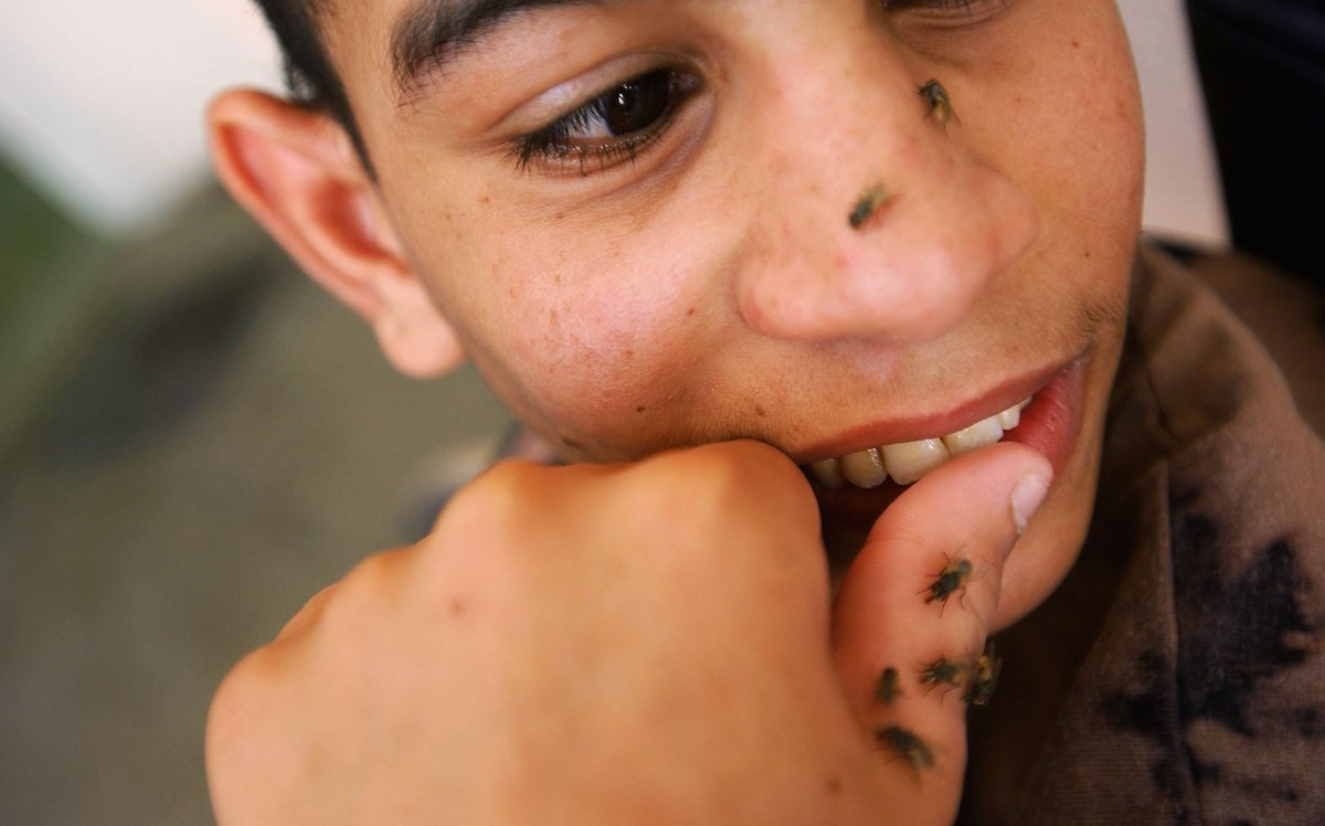 Tips For Keeping Flies Away This Summer In El Paso