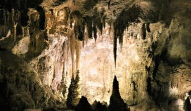 Top Local Getaways For Lubbock Residents This Summer