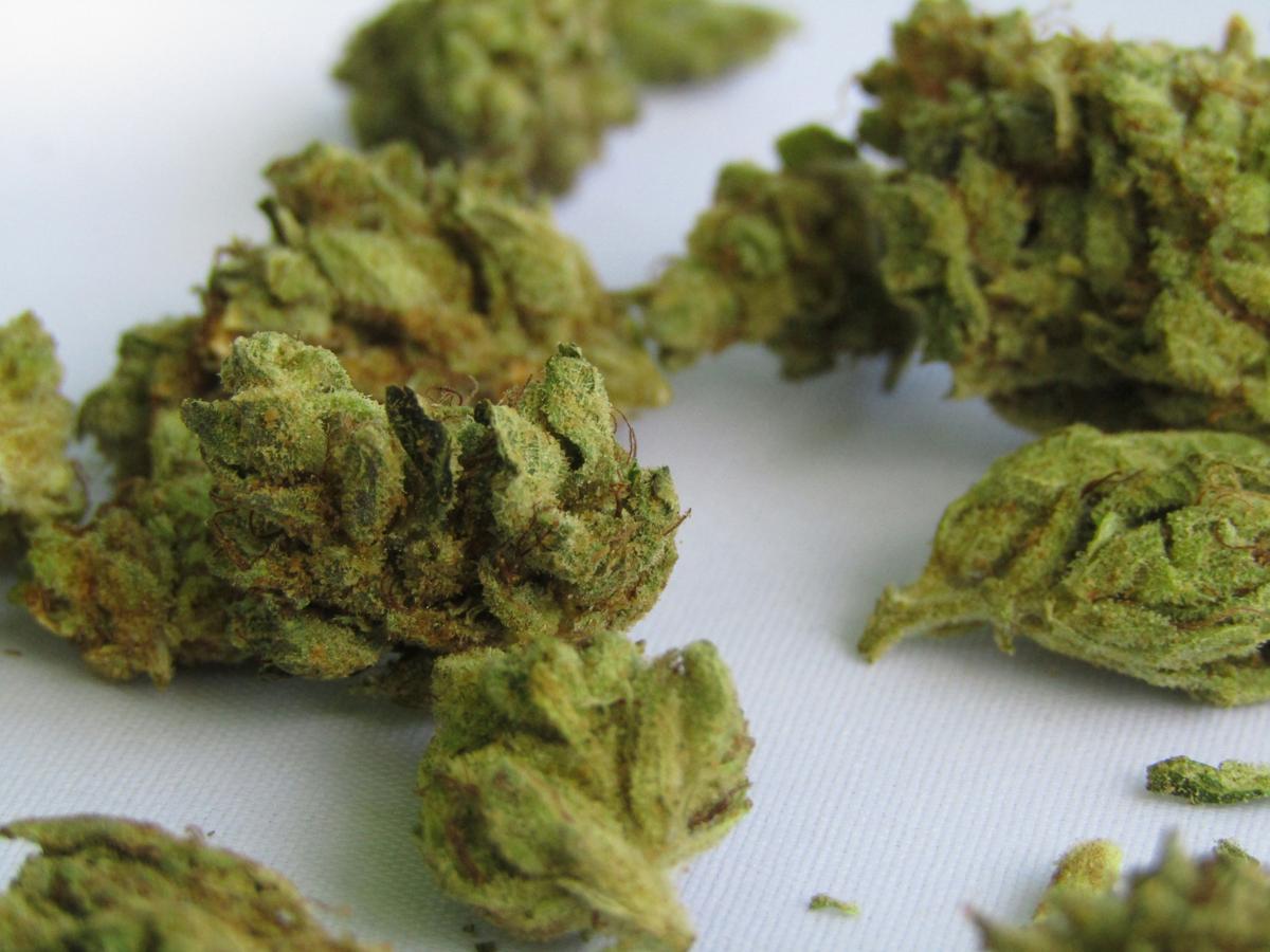 Lubbock's Growing Acceptance Of Marijuana Culture: What To Know