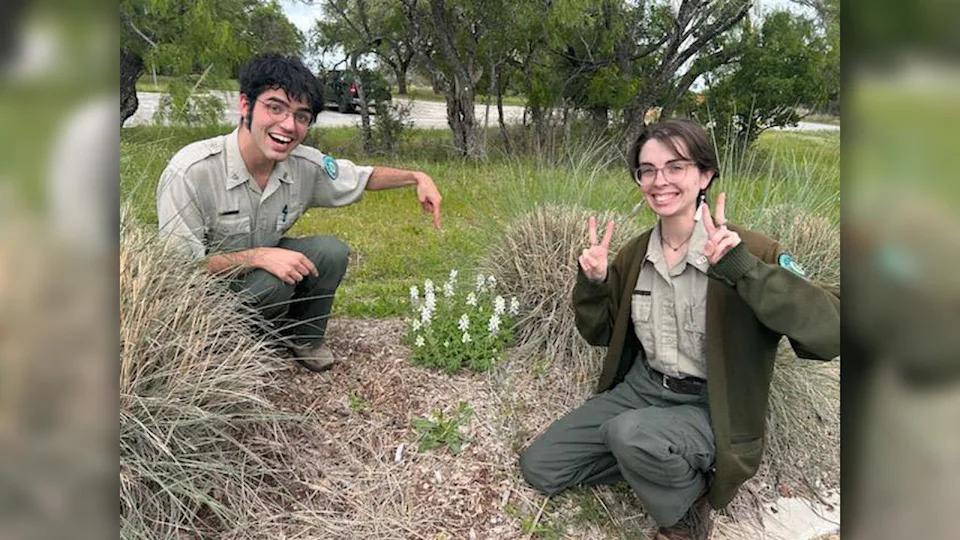Inks Lake Park Rangers Sam and Caleb with “albino” bluebonnets found in Burnet (Inks Lake State Park photo)