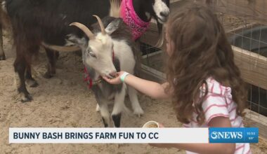 Barnyard Bunny Bash brings farm fun to Corpus Christi for Easter weekend