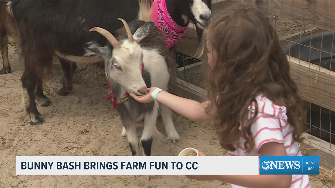 Barnyard Bunny Bash brings farm fun to Corpus Christi for Easter weekend