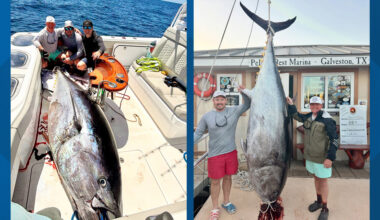 Houston man's 884-pound bluefin tuna officially confirmed as Texas state record nearly a year after catch