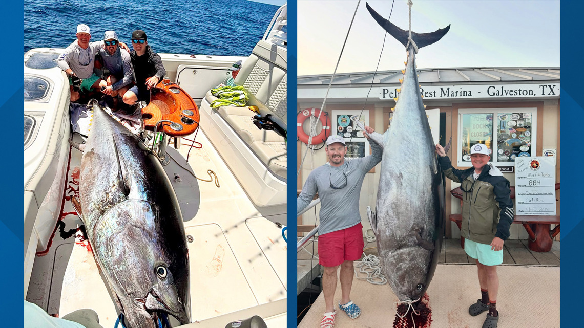 Houston man's 884-pound bluefin tuna officially confirmed as Texas state record nearly a year after catch