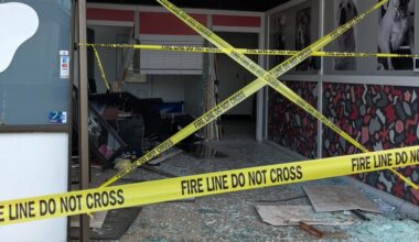 Dog dies at an Arlington doggie daycare after a vehicle crashes into front of the building, police say