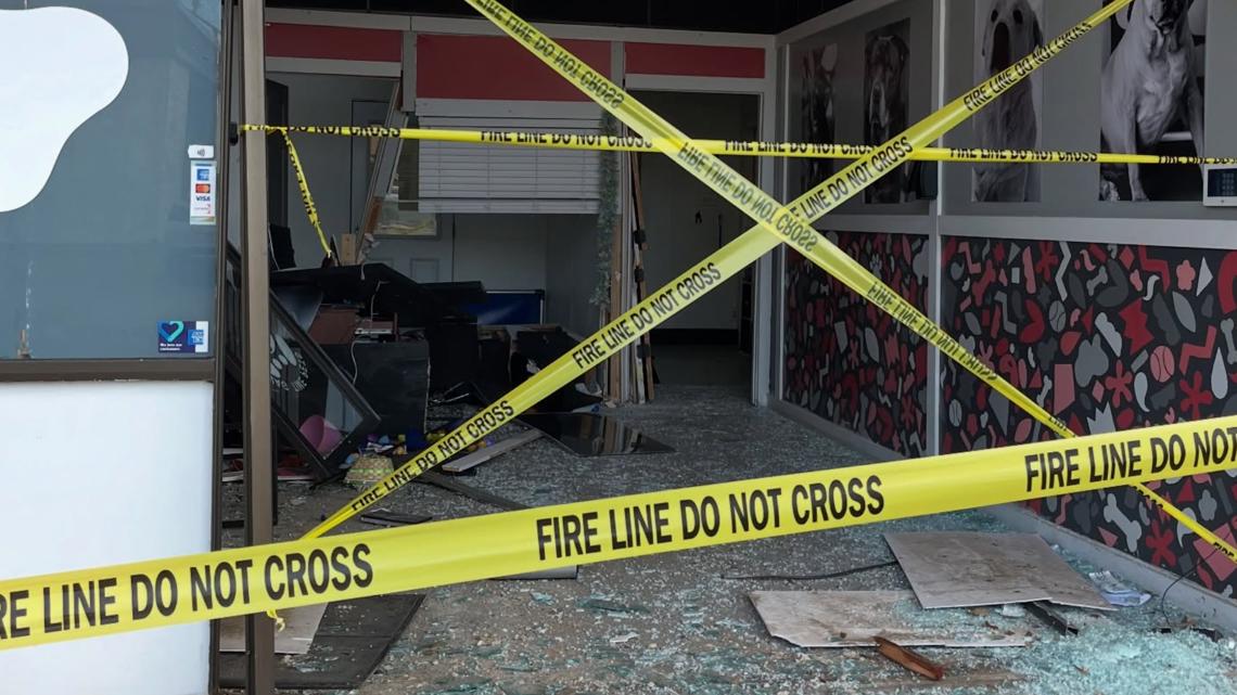 Dog dies at an Arlington doggie daycare after a vehicle crashes into front of the building, police say