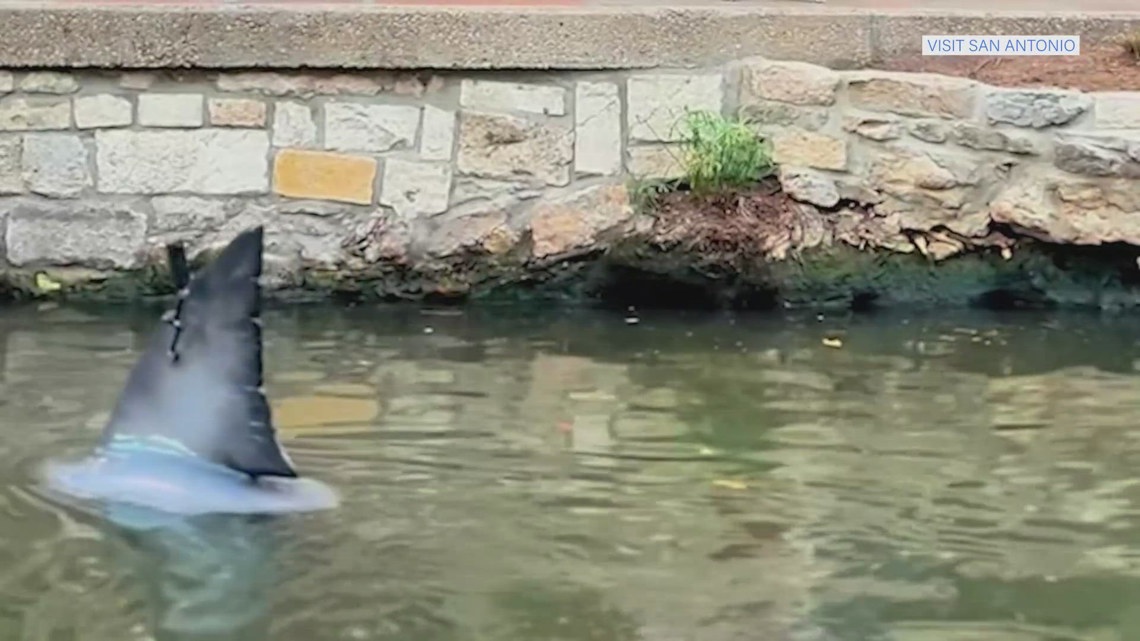Sharks take over San Antonio River Walk — Netflix style