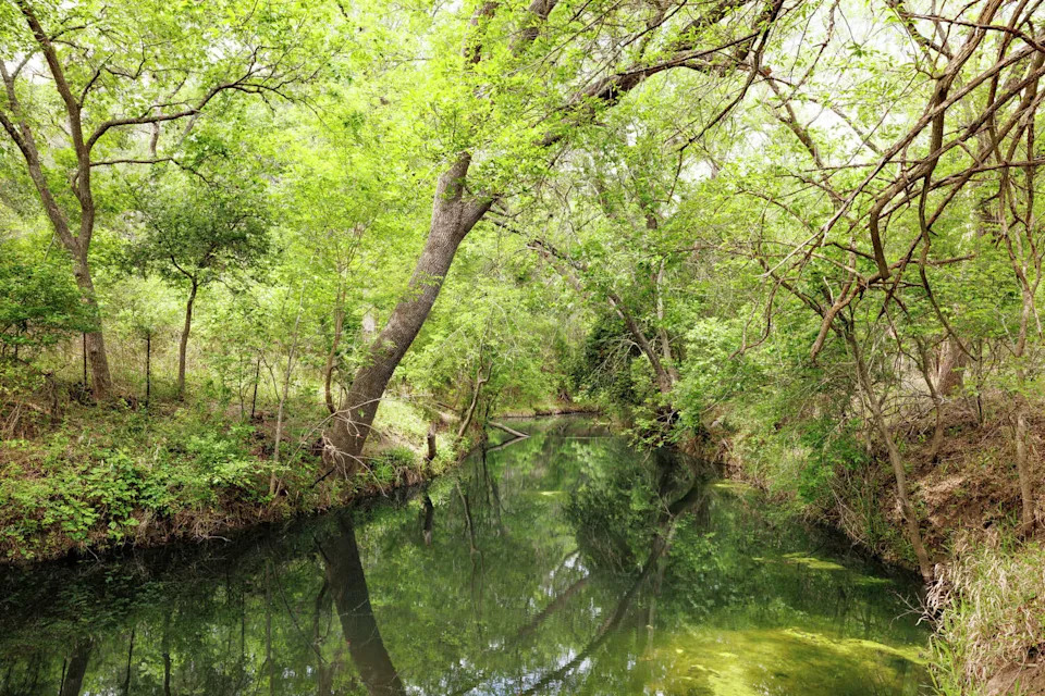 Officials say newly acquired land at Lockhart State Park includes prairie, creek frontage and wildlife habitat. (Sonja Sommerfeld/Sonja Sommerfeld/TPWD)