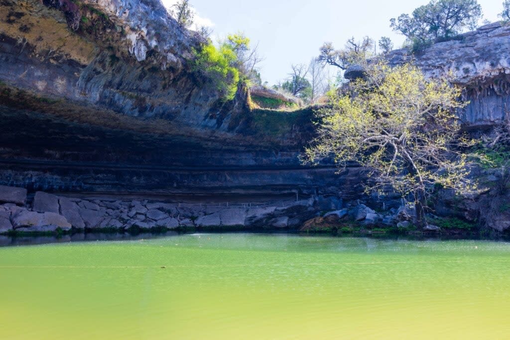 the light green hamilton pool with trees and a rock overhang in the background