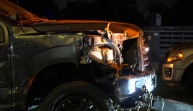 Man shot at trail ride gathering while trying to stop trailer being stolen, Houston police say