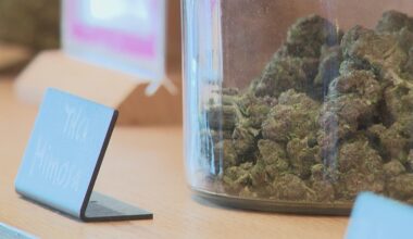 Texas tried to crack down on hemp. A judge hit pause. Here's an unfiltered explanation