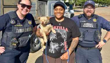 Yahoo lifestyle home