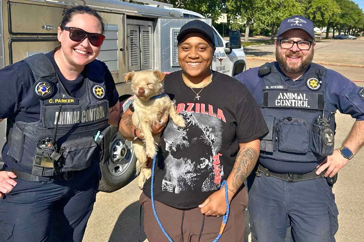 Yahoo lifestyle home