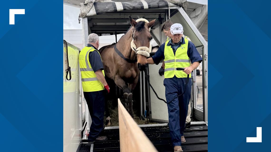 Fort Worth is hosting its own World Cup this summer