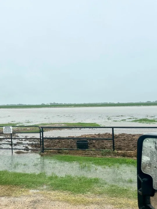 Minor flooding near a field in Granger, Texas on April 21, 2026 (KXAN Viewer/ Nikki Barcuch)