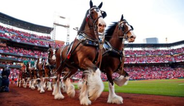 Yahoo lifestyle home