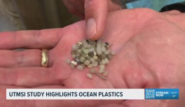 What happens to plastic in the ocean? Texas study reveals hidden danger