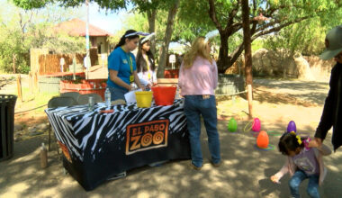 Eggstravaganzoo brings Easter fun to the El Paso Zoo